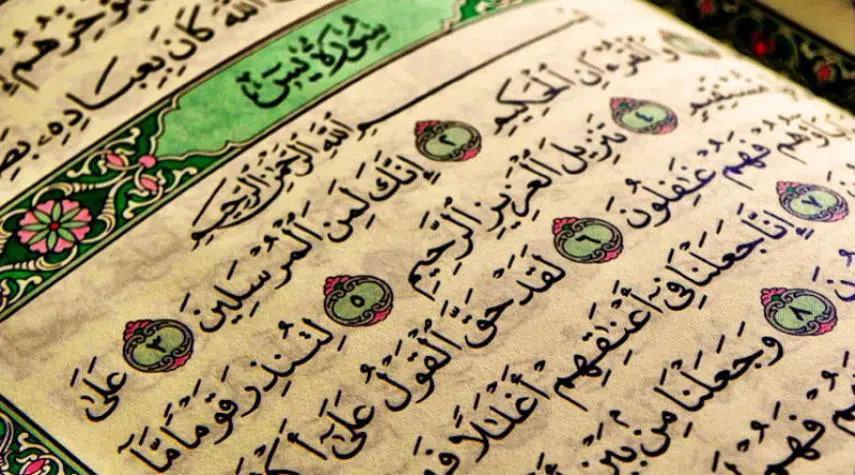 Surah Yaseen Blog – Urdu Tarjuma, Tilawat & Benefits Explained